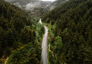 autotrasporti monte vicenza